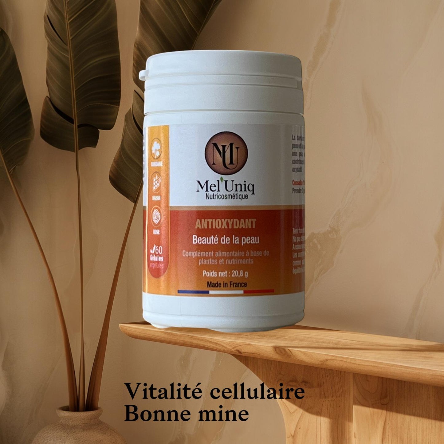 complément alimentaire Antioxydant - vitalité cellulaire bonne mine