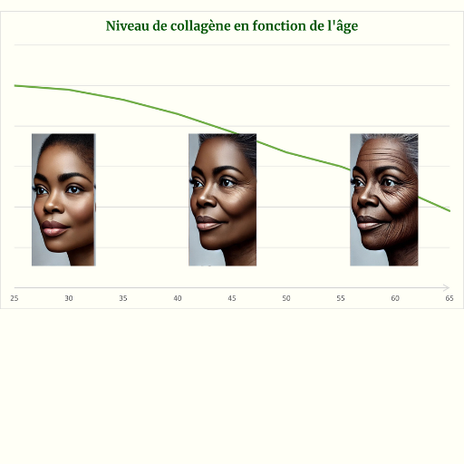 courbe montant la decroissance du niveau de collagene dans le corps en fonction de l'âge