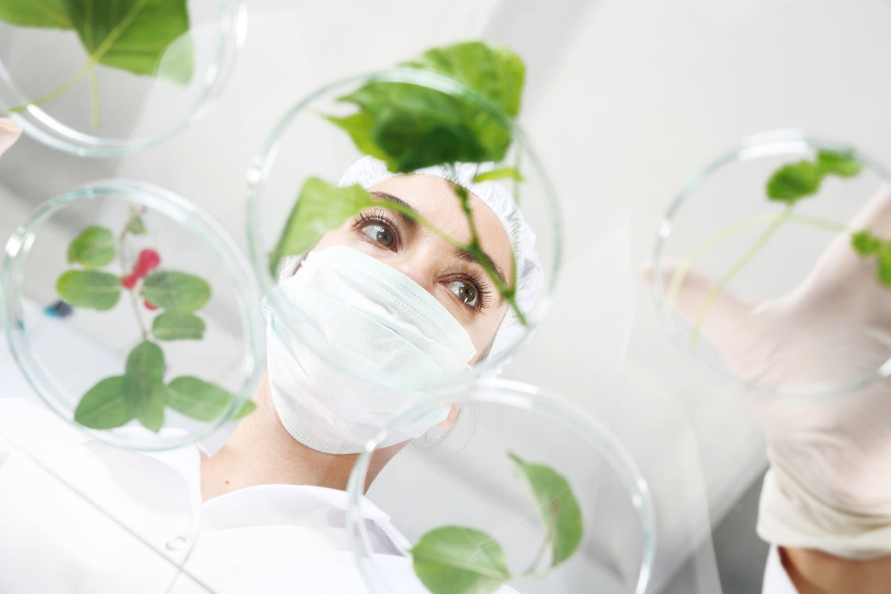Laborantine avec un masque manipulant des extraits végétaux